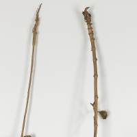 <a href=https://www.galeriegosserez.com/gosserez/artistes/vettier-aurece.html>Aurèce Vettier</a> - bitter hemp